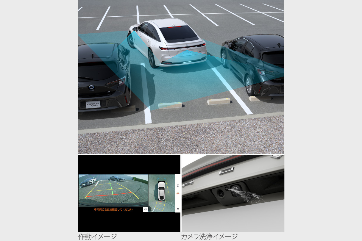 crown_safety_img37