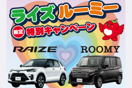 ライズルーミー